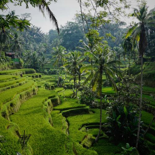 Bali se encuentra entre los mejores países del mundo para jubilarse